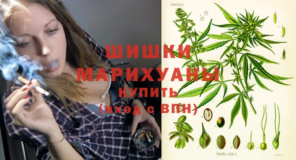 гидра Медвежьегорск