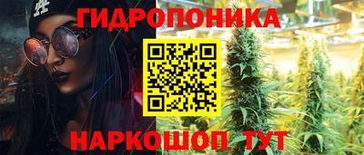 гидра Гусь-Хрустальный