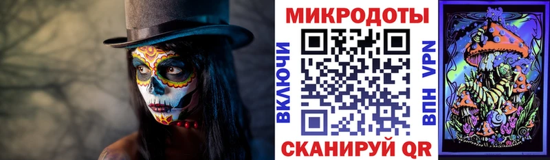 цена   Кольчугино  Галлюциногенные грибы Psilocybe 