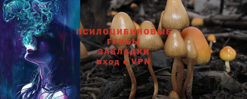 Галлюциногенные грибы Magic Shrooms  Кольчугино 