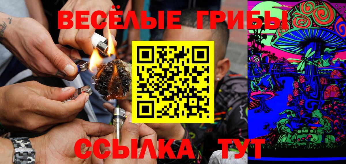 Псилоцибиновые грибы Psilocybine cubensis Кольчугино