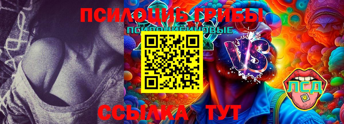 Галлюциногенные грибы Magic Shrooms  Псилоцибиновые грибы мухоморы  Кольчугино  Вход с VPN 