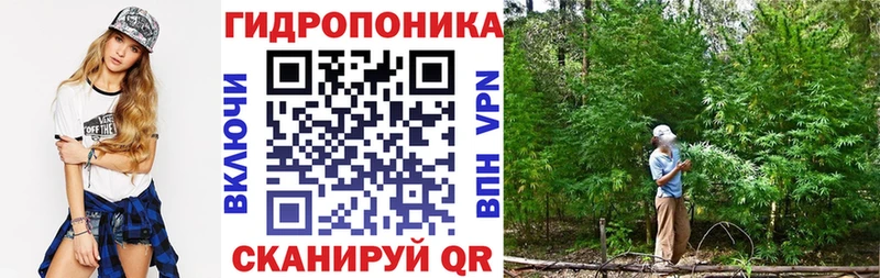 Канабис OG Kush Кольчугино