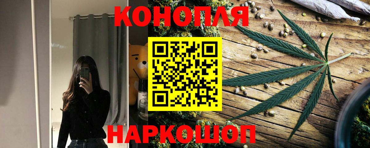 Бошки Шишки гибрид  Бошки Шишки AK-47  Кольчугино  Каннабис Ganja 